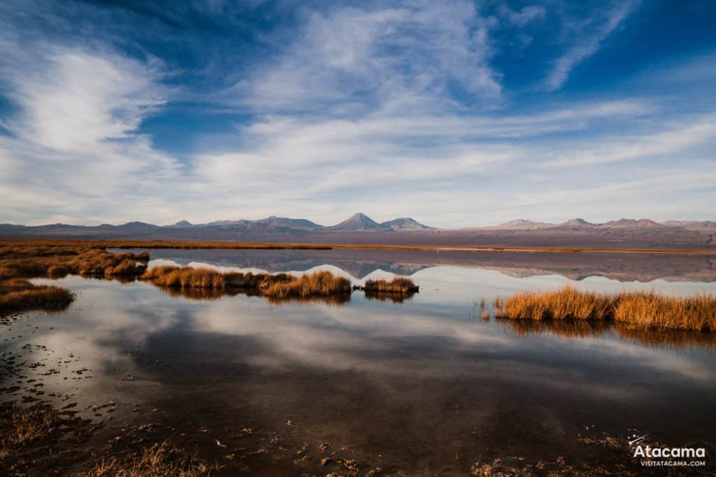 Laguna Tebinquiche, Deserto do Atacama - Chile | Foto: Robson Franzoi