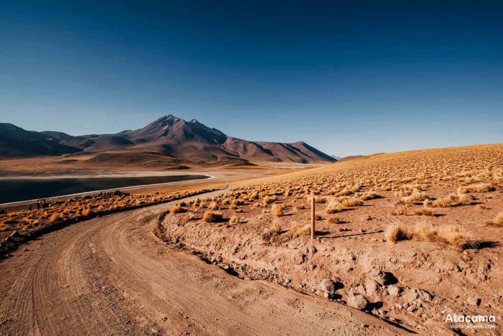 Lagunas Altiplânicas - Deserto do Atacama, Chile