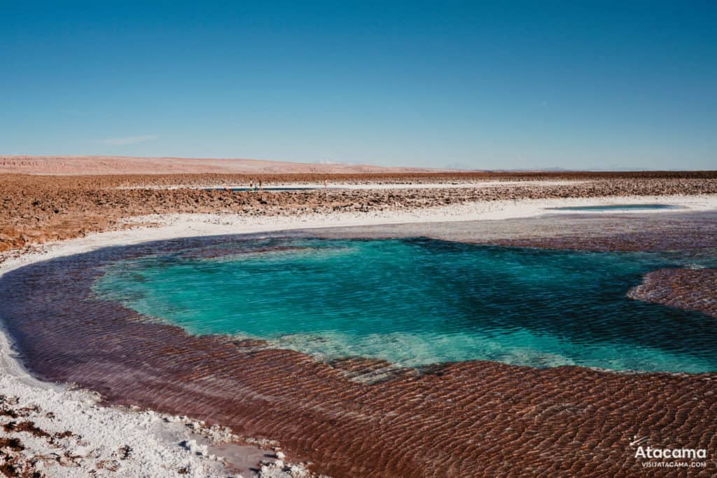 Lagunas Escondidas de Baltinache - Deserto do Atacama, Chile | Foto: Robson Franzoi