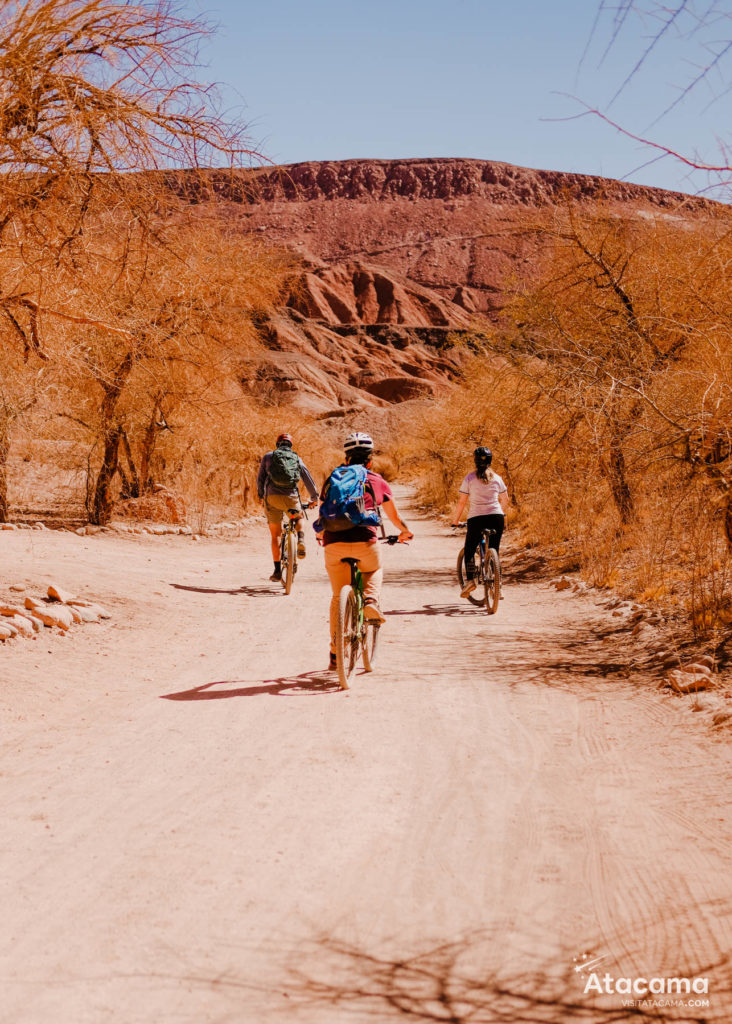 Passeio de bike no Atacama: Descubra a Garganta del Diablo